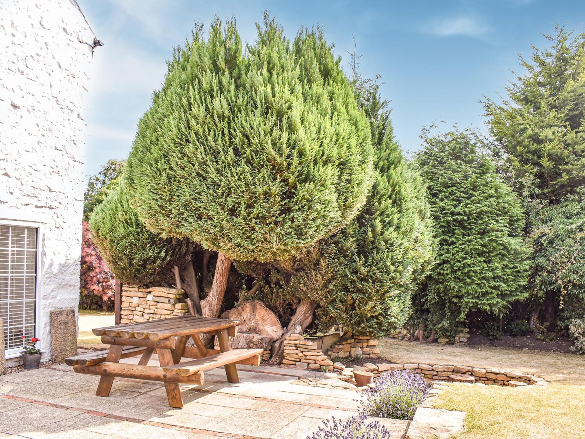 Bathurst Cottage Scarcliffe Екстер'єр фото